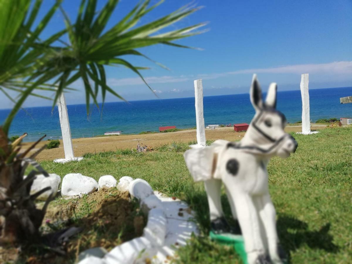 Perice Konak Sinop Exterior foto